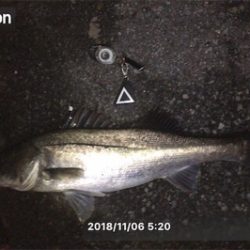 雨後はやっぱり