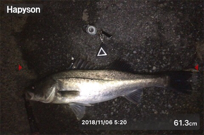 雨後はやっぱり