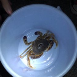 夕まずめ狙い投げ釣り