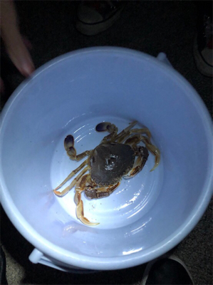 夕まずめ狙い投げ釣り