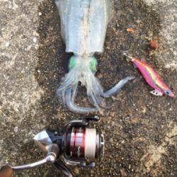 まだまだ修行中です