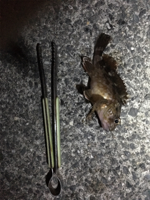 タチウオあか〜ん