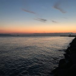 久しぶりのエギング