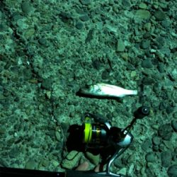 仕事終わりにライトゲーム