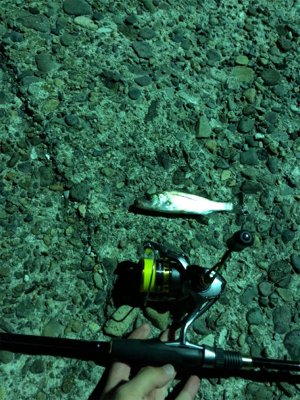 仕事終わりにライトゲーム