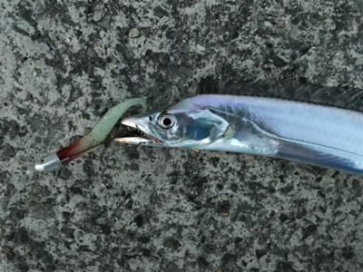 ドラゴンを求めて