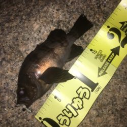 ナイトメバリングゲーム