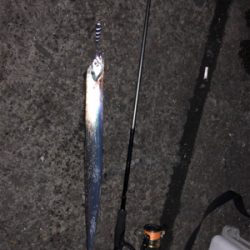 今シーズンベスト釣果!