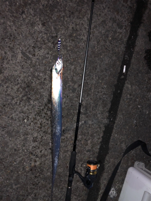 今シーズンベスト釣果!