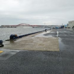 活性は高くない