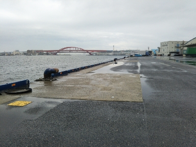 活性は高くない