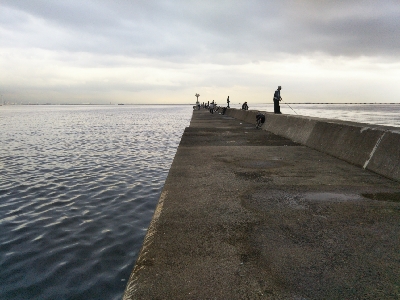 活性高いかも?ただしチビ