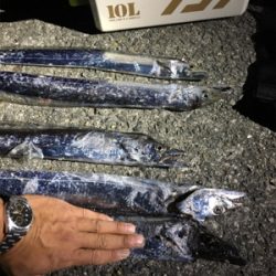 太刀魚引き釣り
