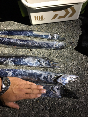 太刀魚引き釣り