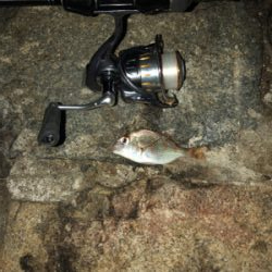 餌師が多かった