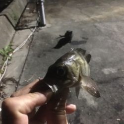 何とかかんとか