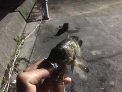 何とかかんとか