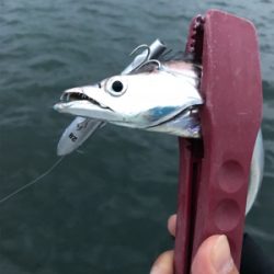 決めてなくダラダラ…