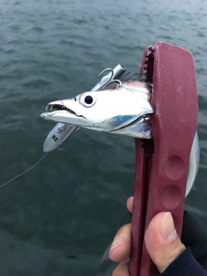 決めてなくダラダラ…