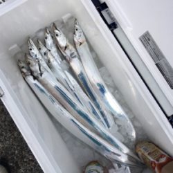 早朝ショアジギング