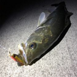 サッパパターン！