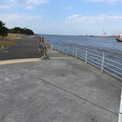 コスモでサゴシ(^^)