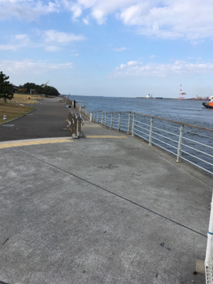 コスモでサゴシ(^^)