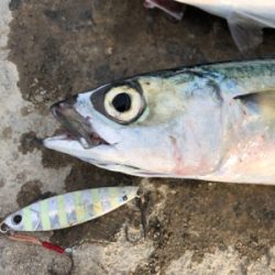 チャンスをものに♪