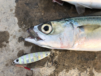 チャンスをものに♪