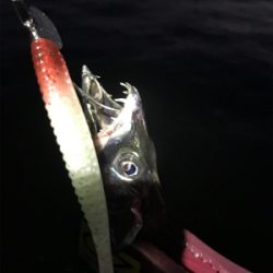 今日は、ワインドＤＡＹ