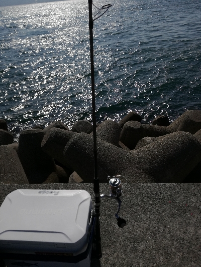 なんとかボウズ回避