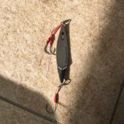 船長情報無視の結果…