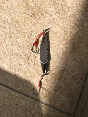 船長情報無視の結果…