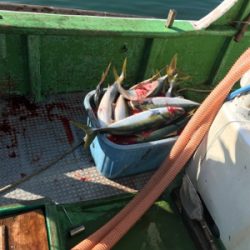 孝洋丸 落とし込み