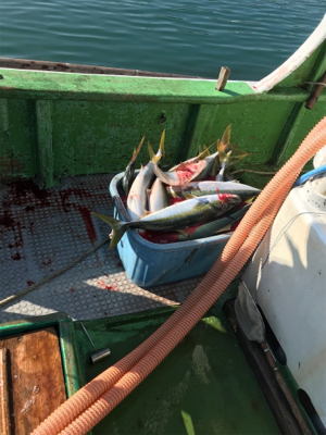 孝洋丸 落とし込み