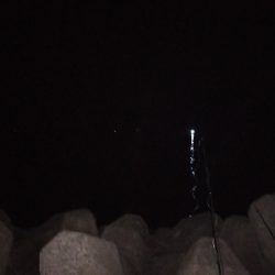 久し振りの妻鹿漁港