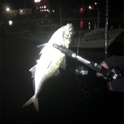 佐田岬遠征①日目