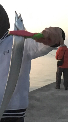 タッチー、タッコー、チーバッスー