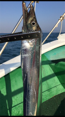 神戸沖 タチウオ釣行