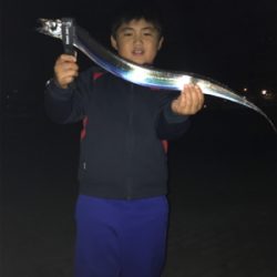 シーサイドコスモ