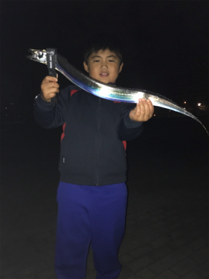 シーサイドコスモ