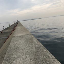 ムコイチ 加太 は相性悪し!