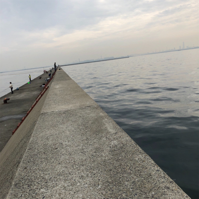 ムコイチ 加太 は相性悪し!