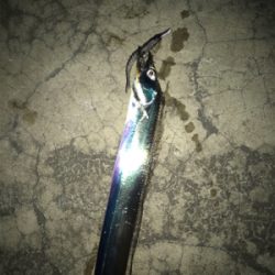 ニューメソッド追加‼︎ タチウオにも効くかも⁉︎