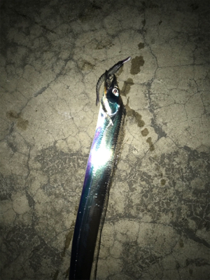 ニューメソッド追加‼︎ タチウオにも効くかも⁉︎