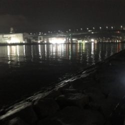 まだまだタチウオ釣れそうです