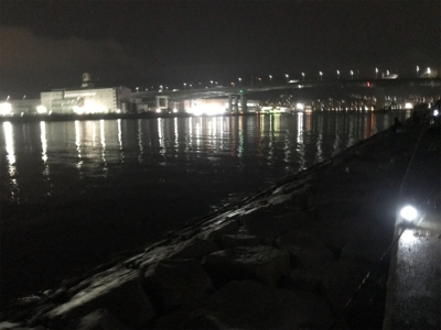 まだまだタチウオ釣れそうです