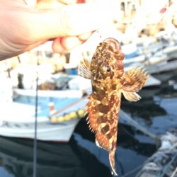 マイクロジグでのライトゲーム