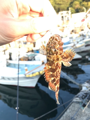 マイクロジグでのライトゲーム