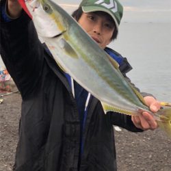 神戸ノマセクラブ メジロ釣行記